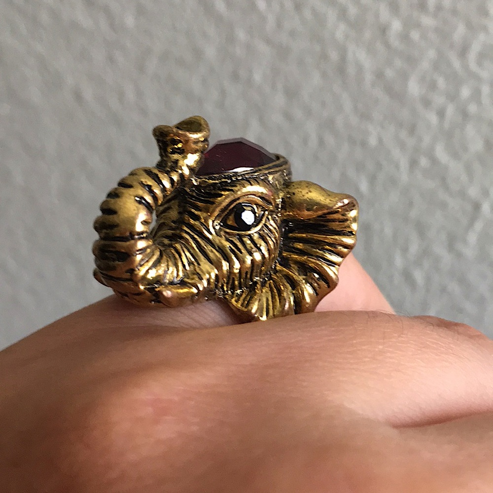 Elephant Ring - image 3